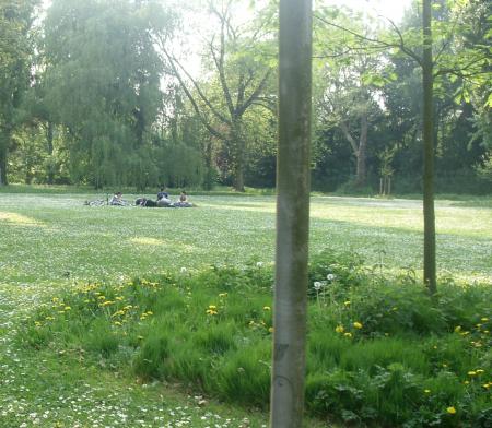 le parc au printemps 1