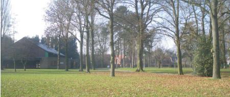 le parc en hiver 1