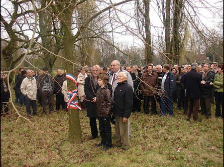 3 maires, 1 jeune croisien à l'arbre de la liberté