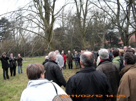 marche vers l'arbre de la liberté