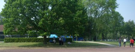 les arbres 1