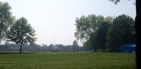 les arbres 2